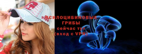 бошки Мегион