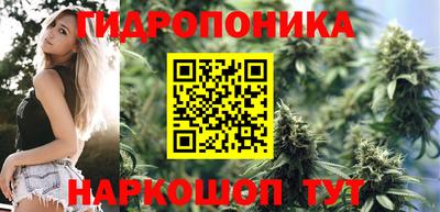 прущие грибы Беслан