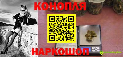прущие грибы Беслан