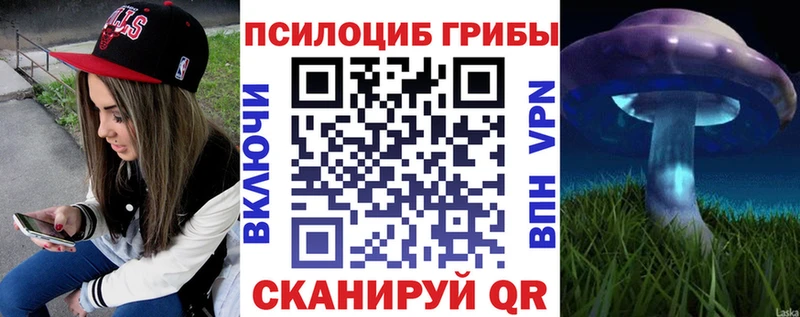 Псилоцибиновые грибы Cubensis  купить   hydra рабочий сайт  Ковров 