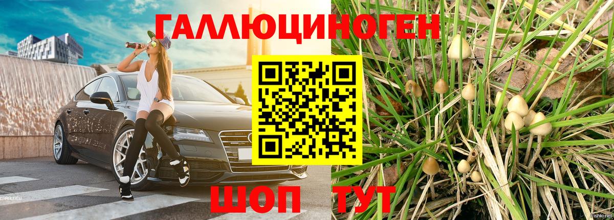Галлюциногенные грибы Psilocybine cubensis Ковров
