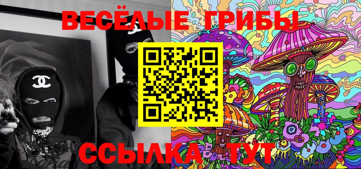 Галлюциногенные грибы Cubensis  хочу наркоту  Ковров  Вход с VPN 